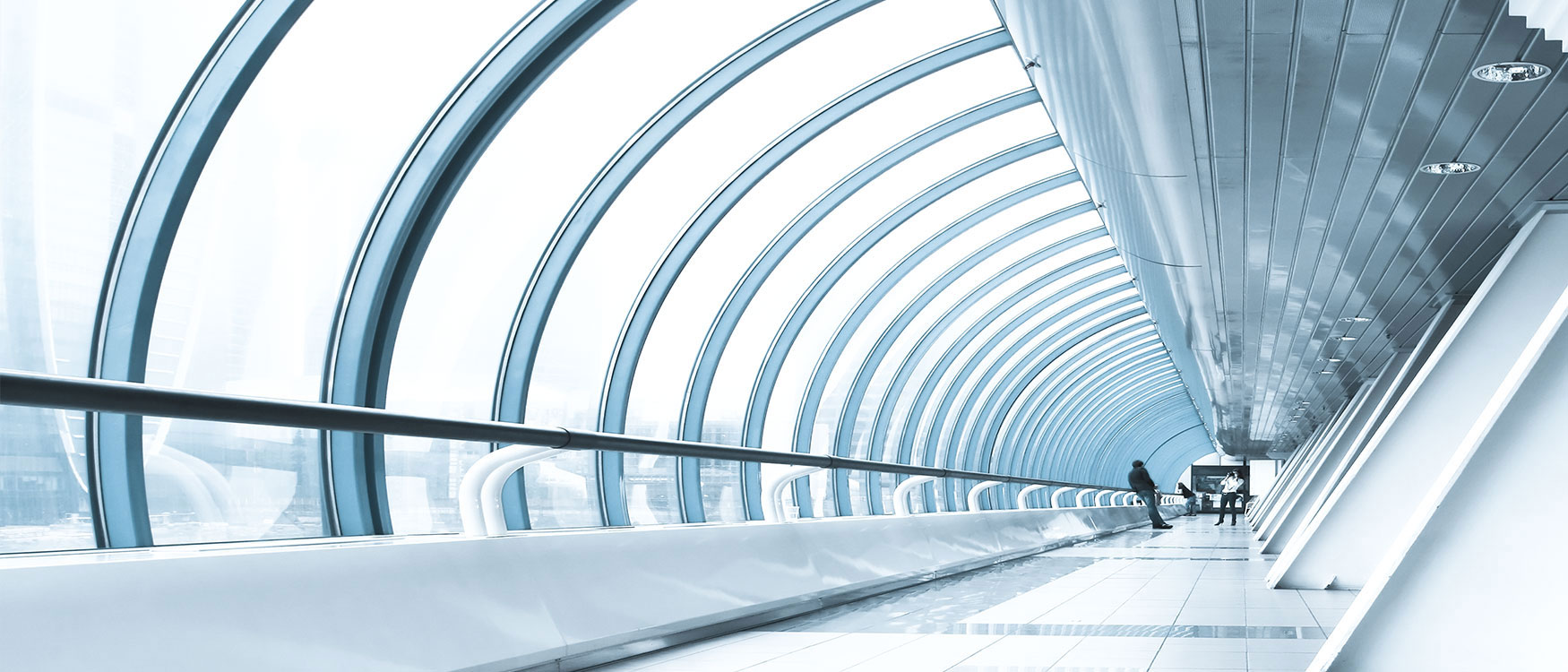 სტუმრები უნივერსიტეტში